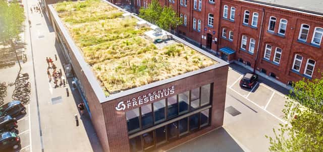 Hochschule Fresenius