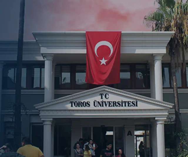 Toros University