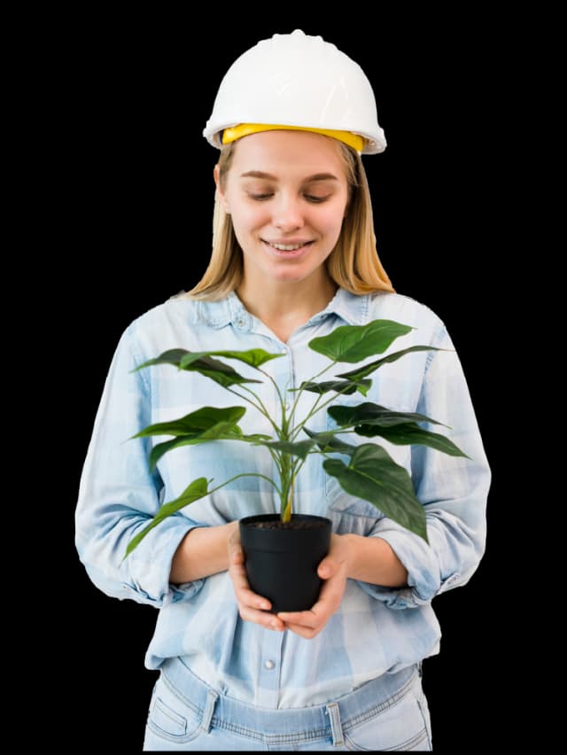 تخصص هندسة المناظر الطبيعية